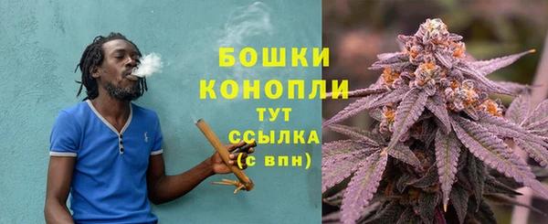 2c-b Горно-Алтайск