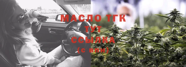 2c-b Горно-Алтайск