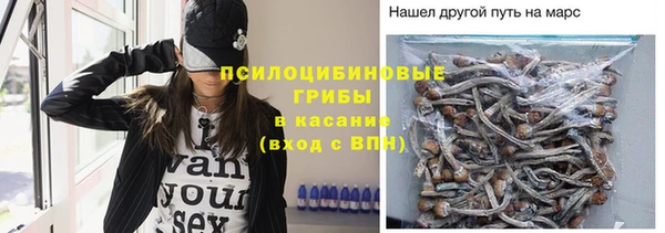 герыч Горняк